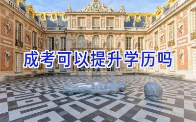 成考可以提升学历吗