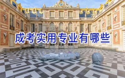 成考实用专业有哪些