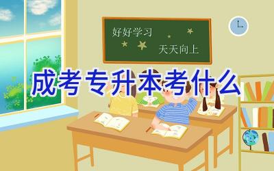 成考专升本考什么