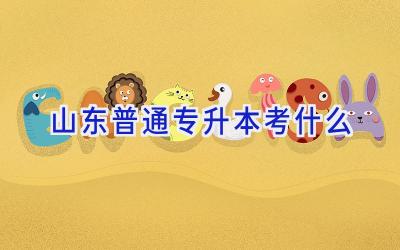 山东普通专升本考什么
