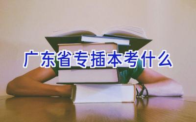 广东省专插本考什么