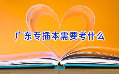 广东专插本需要考什么