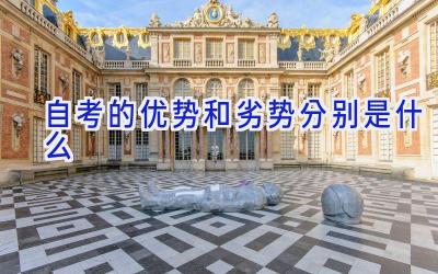 自考的优势和劣势分别是什么