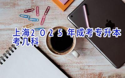 上海2025年成考专升本考几科