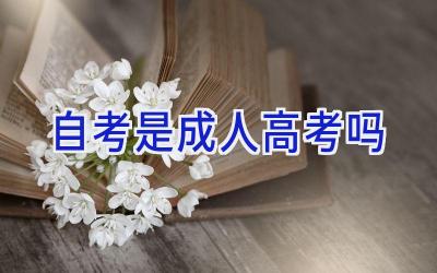 自考是成人高考吗