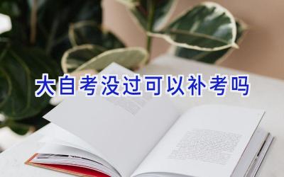 大自考没过可以补考吗