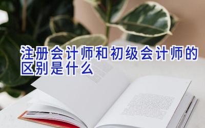注册会计师和初级会计师的区别是什么