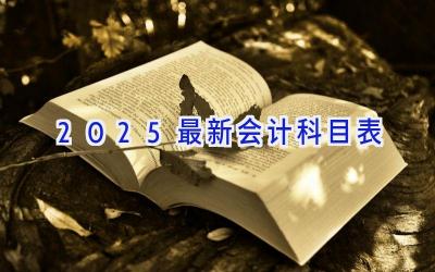 2025最新会计科目表