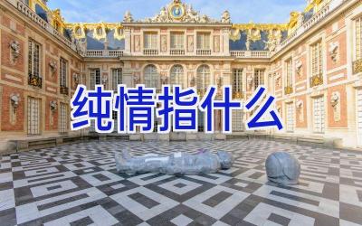 纯情指什么