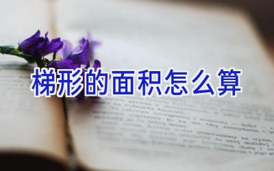 梯形的面积怎么算