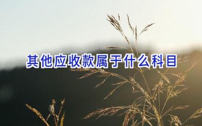 其他应收款属于什么科目