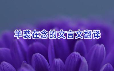 羊裘在念的文言文翻译