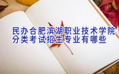民办合肥滨湖职业技术学院分类考试招生专业有哪些