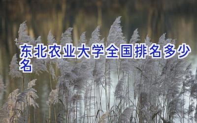 东北农业大学全国排名多少名