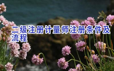 二级注册计量师注册条件及流程