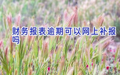 财务报表逾期可以网上补报吗