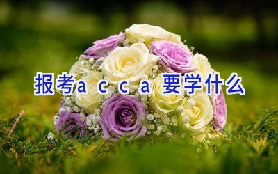 报考acca要学什么