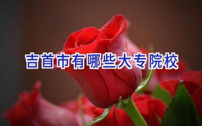 吉首市有哪些大专院校