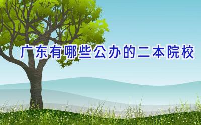 广东有哪些公办的二本院校