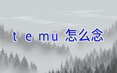 temu怎么念