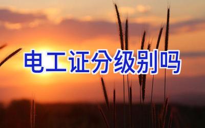 电工证分级别吗