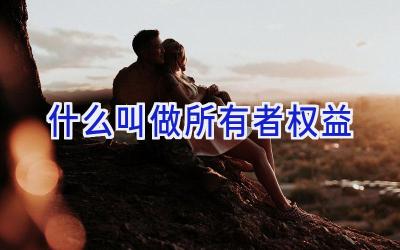 什么叫做所有者权益