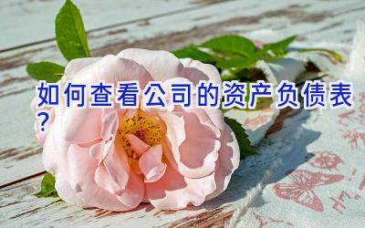 如何查看公司的资产负债表？