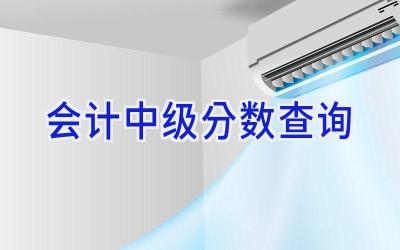 会计中级分数查询