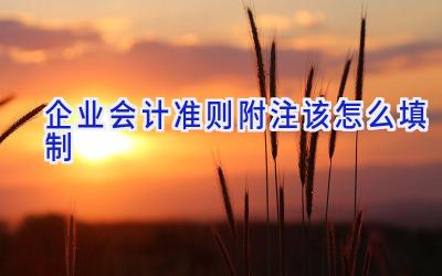 企业会计准则附注该怎么填制