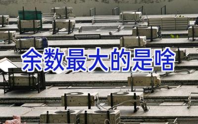 余数最大的是啥