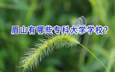 眉山有哪些专科大学学校？