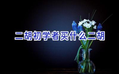 二胡初学者买什么二胡