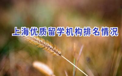 上海优质留学机构排名情况