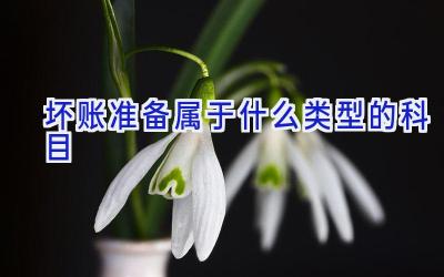 坏账准备属于什么类型的科目