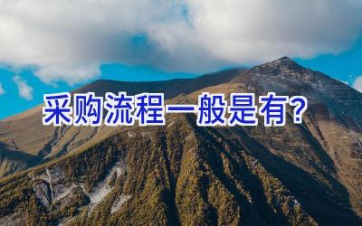 采购流程一般是有？