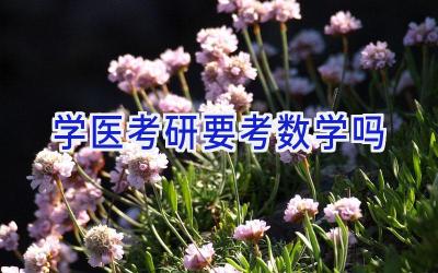 学医考研要考数学吗