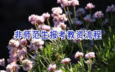 非师范生报考教资流程