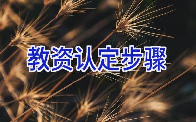 教资认定步骤
