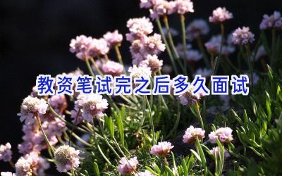 教资笔试完之后多久面试