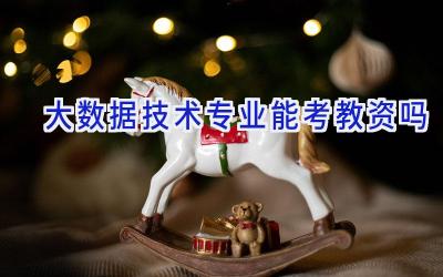 大数据技术专业能考教资吗