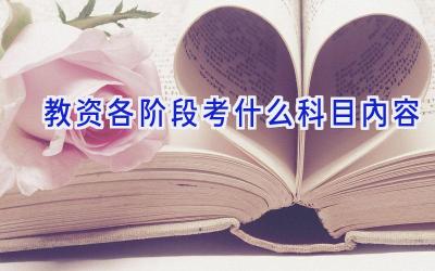 教资各阶段考什么科目内容