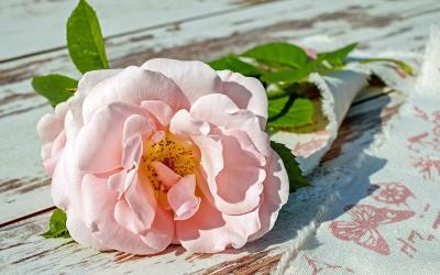 考教资何时备考