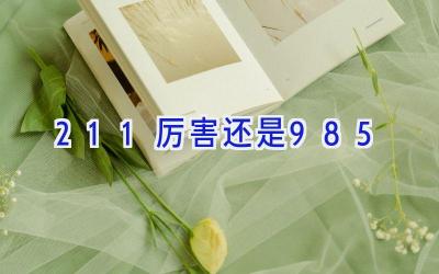 211厉害还是985