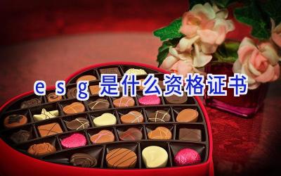 esg是什么资格证书