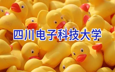 四川电子科技大学
