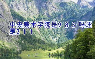 中央美术学院是985吗还是211
