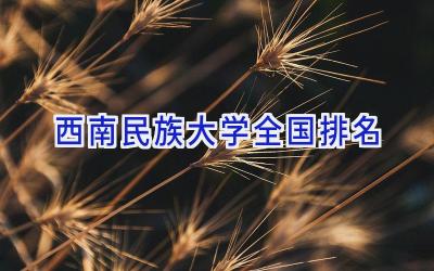 西南民族大学全国排名