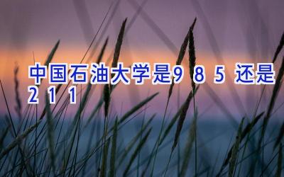 中国石油大学是985还是211