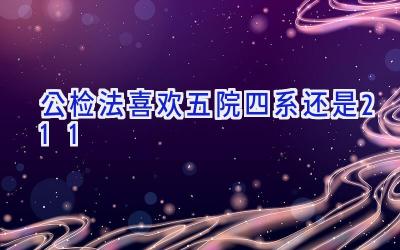公检法喜欢五院四系还是211