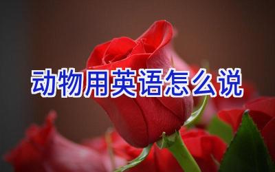 动物用英语怎么说